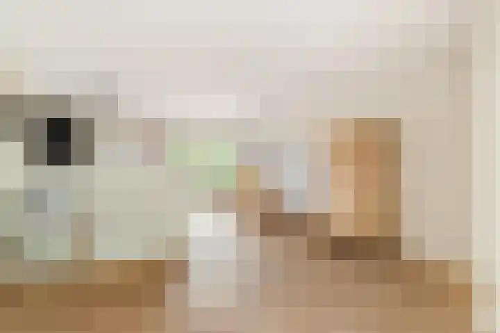 Johanna Naberstraat 5 Heemskerk thumbnail 6