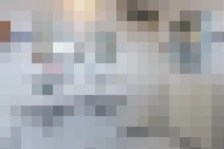Johanna Naberstraat 9 Rijen thumbnail 35