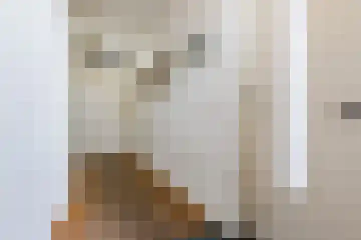 Johanna Naberstraat 9 Rijen thumbnail 5