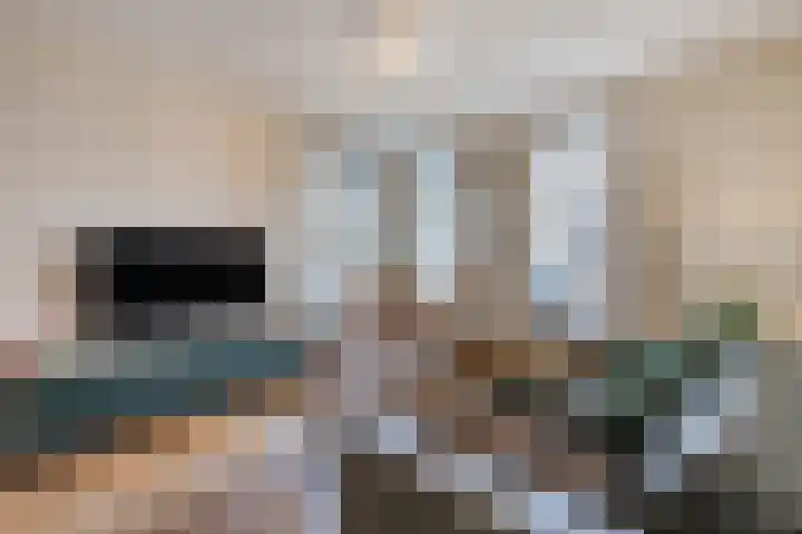 Johanna Naberstraat 9 Rijen thumbnail 9