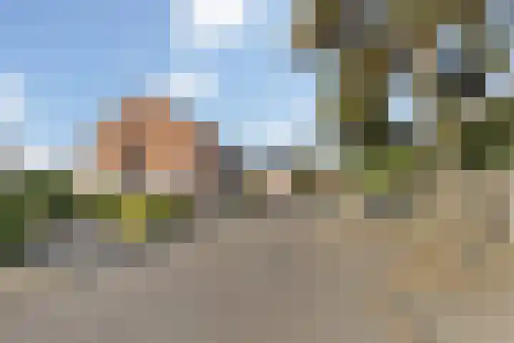 Johanna Reintjesstraat 51 Breda thumbnail 30
