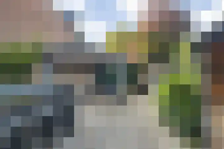 Johanna Reintjesstraat 51 Breda thumbnail 5