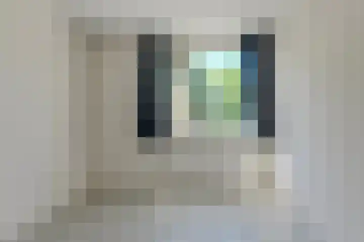 Johanna Reintjesstraat 60 Breda thumbnail 24