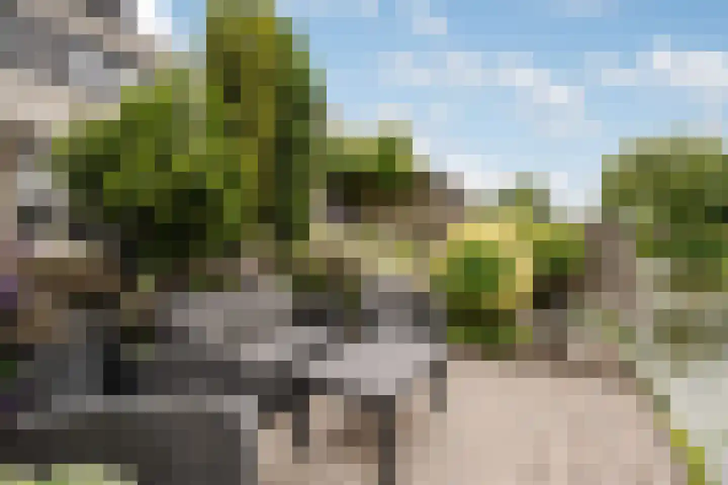 Johanna Slagter-Dingsdagtuin 19 Heerhugowaard thumbnail 20