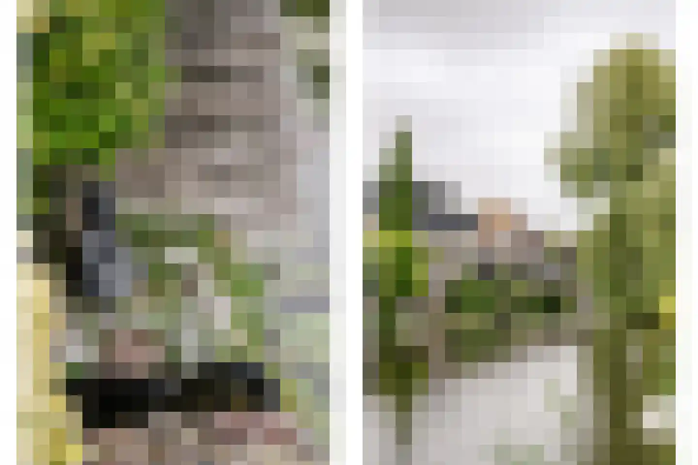 Johanna Slagter-Dingsdagtuin 19 Heerhugowaard thumbnail 22
