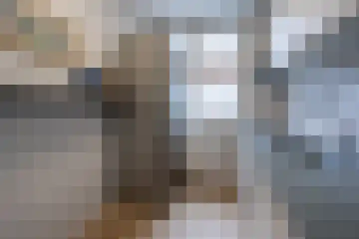 Johanna Ufkesstraat 1 Breda thumbnail 11