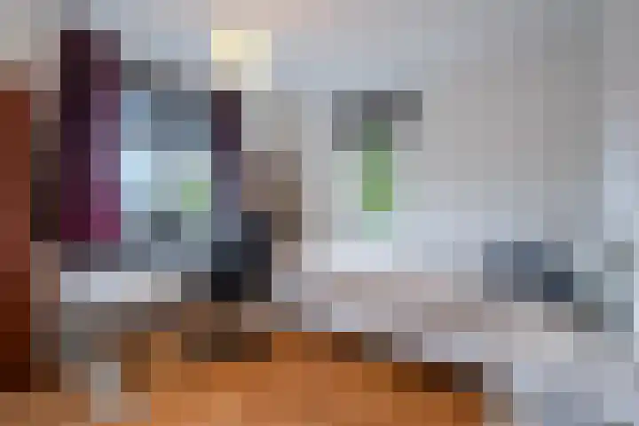 Johanna Ufkesstraat 1 Breda thumbnail 20