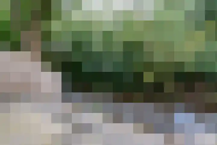 Johanna Ufkesstraat 1 Breda thumbnail 26