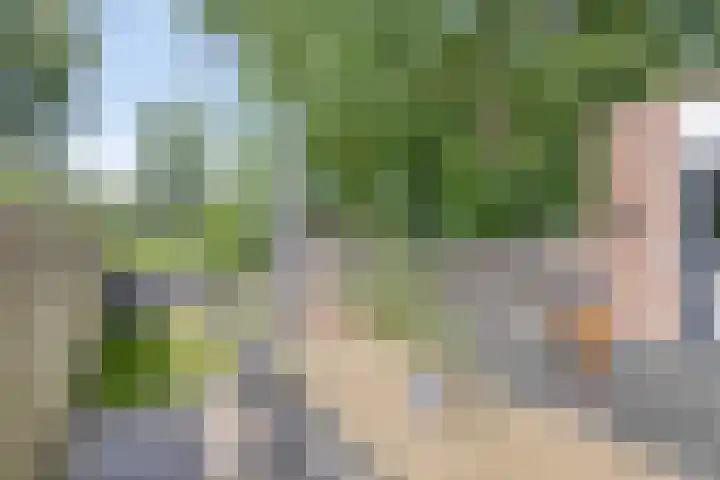 Johanna Ufkesstraat 51 Breda thumbnail 27
