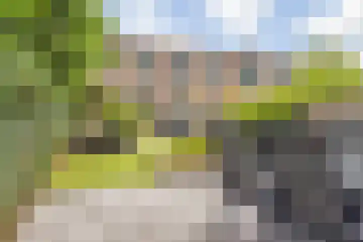 Johanna Ufkesstraat 67 Breda thumbnail 5