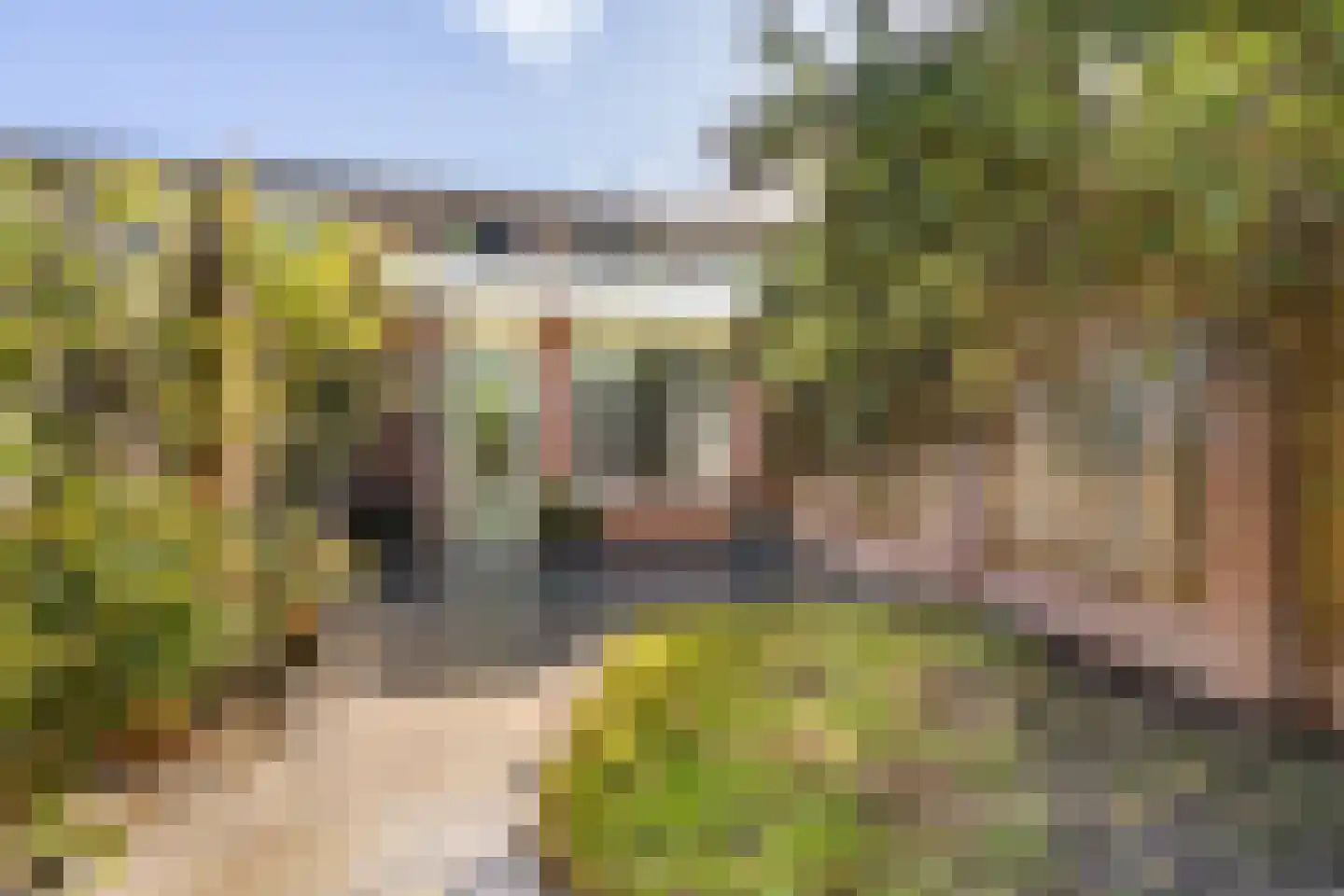 Johanna Ufkesstraat 71 Breda thumbnail 26