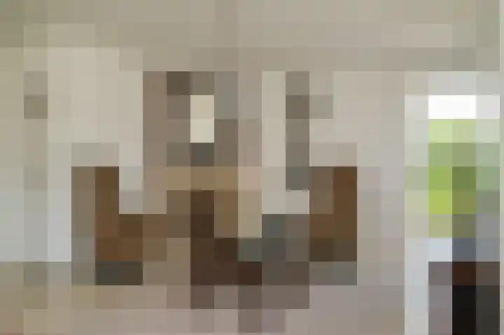 Johanna van Beekstraat 24 Beneden-Leeuwen thumbnail 6