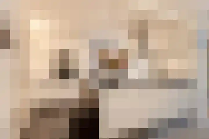 Johanna van Brabantlaan 16 Hilvarenbeek thumbnail 14