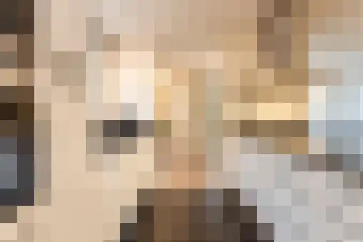 Johanna van Brabantlaan 16 Hilvarenbeek thumbnail 15