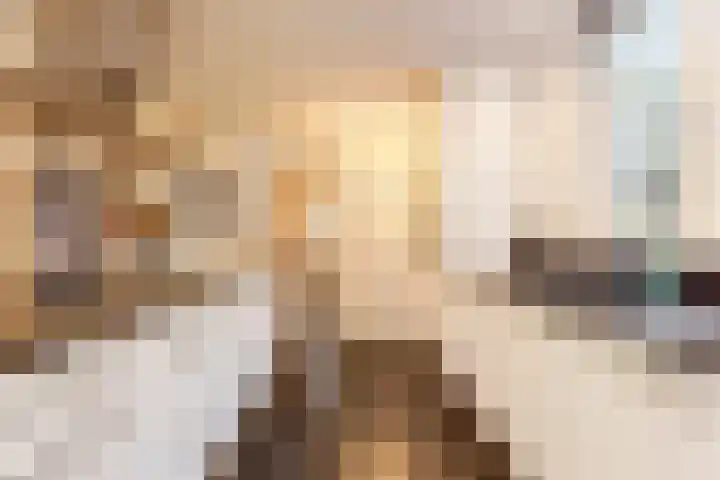 Johanna van Brabantlaan 16 Hilvarenbeek thumbnail 16
