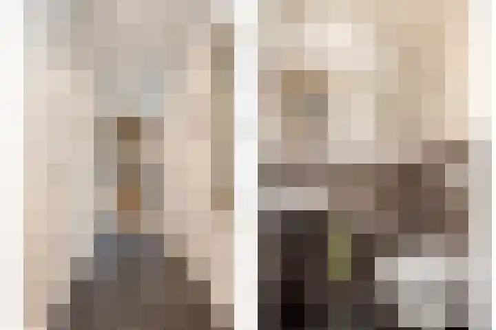 Johanna van Brabantlaan 16 Hilvarenbeek thumbnail 18