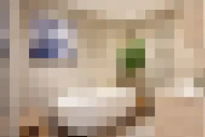 Johanna van Brabantlaan 16 Hilvarenbeek thumbnail 21