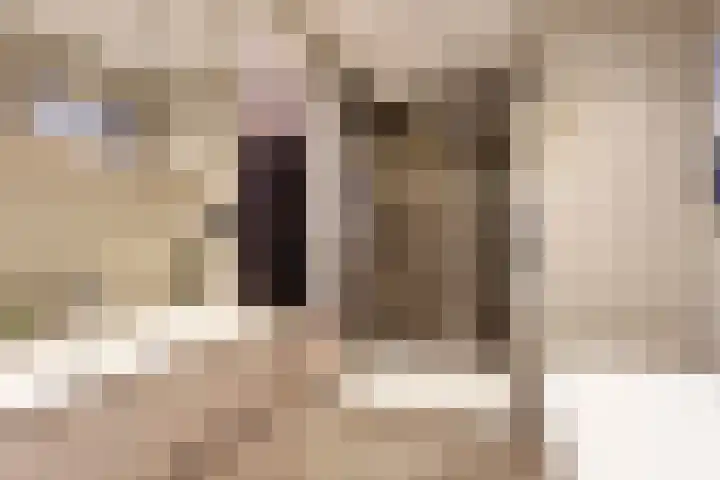 Johanna van Brabantlaan 16 Hilvarenbeek thumbnail 22