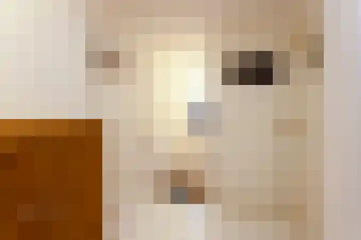 Johanna van Brabantlaan 16 Hilvarenbeek thumbnail 23