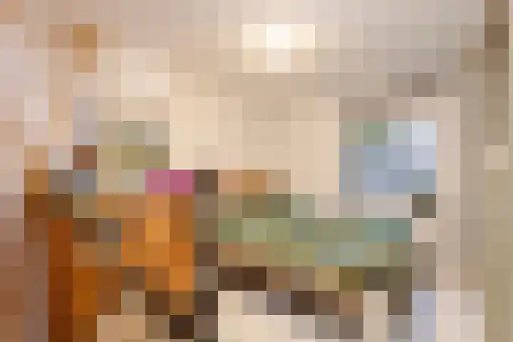 Johanna van Brabantlaan 16 Hilvarenbeek thumbnail 26