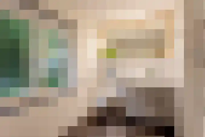Johanna van Brabantlaan 16 Hilvarenbeek thumbnail 27