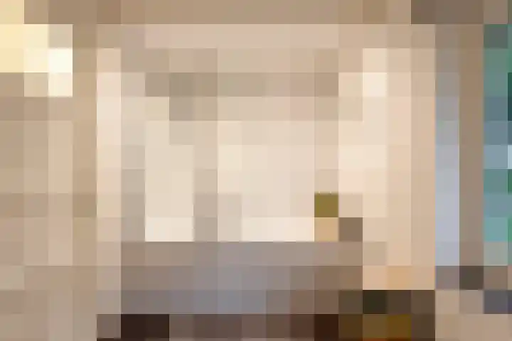 Johanna van Brabantlaan 16 Hilvarenbeek thumbnail 28