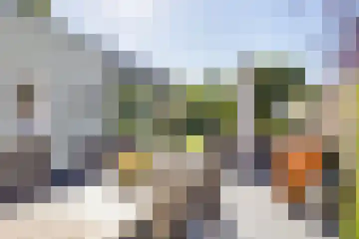 Johanna van Brabantlaan 16 Hilvarenbeek thumbnail 29