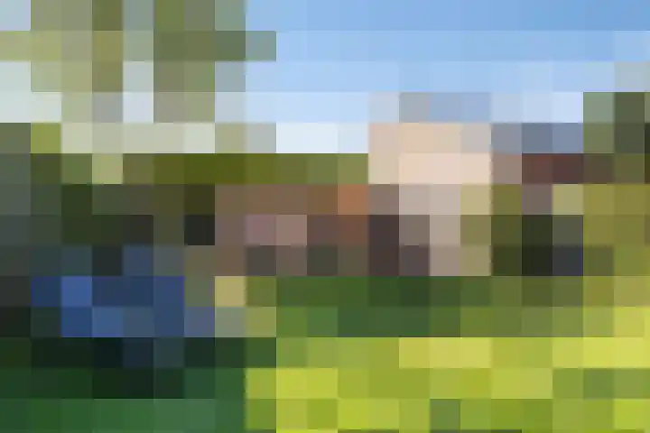 Johanna van Brabantlaan 16 Hilvarenbeek thumbnail 32