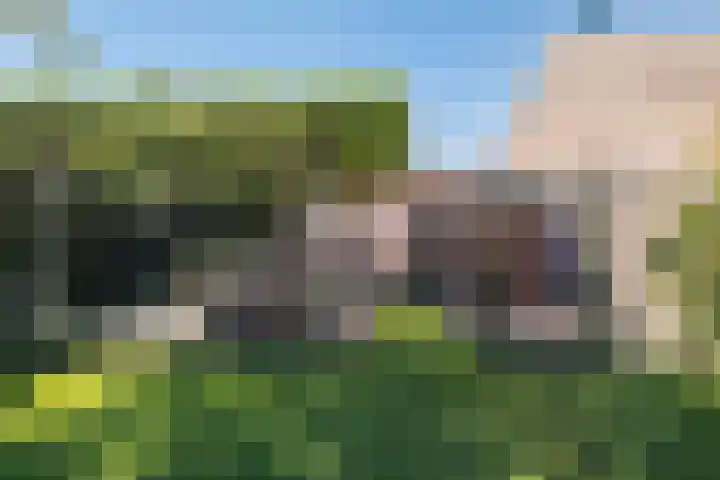 Johanna van Brabantlaan 16 Hilvarenbeek thumbnail 33