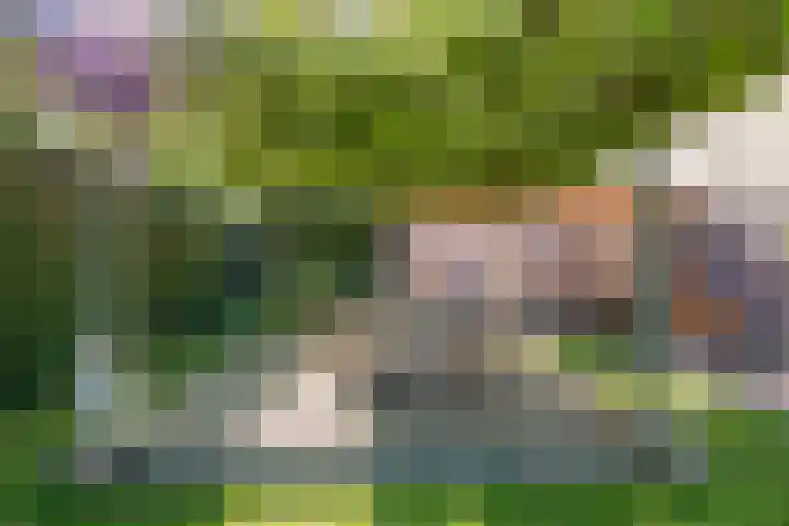 Johanna van Brabantlaan 16 Hilvarenbeek thumbnail 34