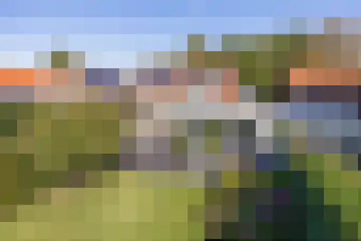 Johanna van Brabantlaan 16 Hilvarenbeek thumbnail 35