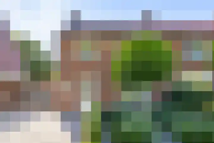 Johanna van Brabantlaan 16 Hilvarenbeek thumbnail 36
