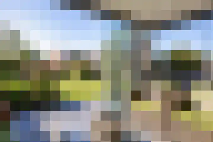 Johanna van Brabantlaan 16 Hilvarenbeek thumbnail 4