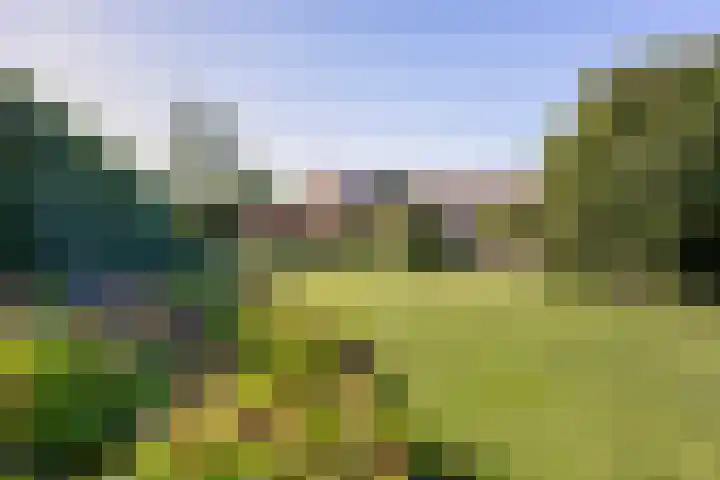 Johanna van Brabantlaan 16 Hilvarenbeek thumbnail 5