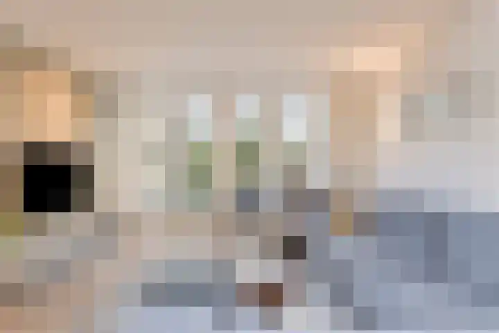 Johanna van Brabantlaan 16 Hilvarenbeek thumbnail 9