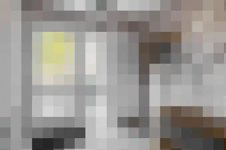 Johanna van Brabantlaan 2 Sint-Oedenrode thumbnail 13