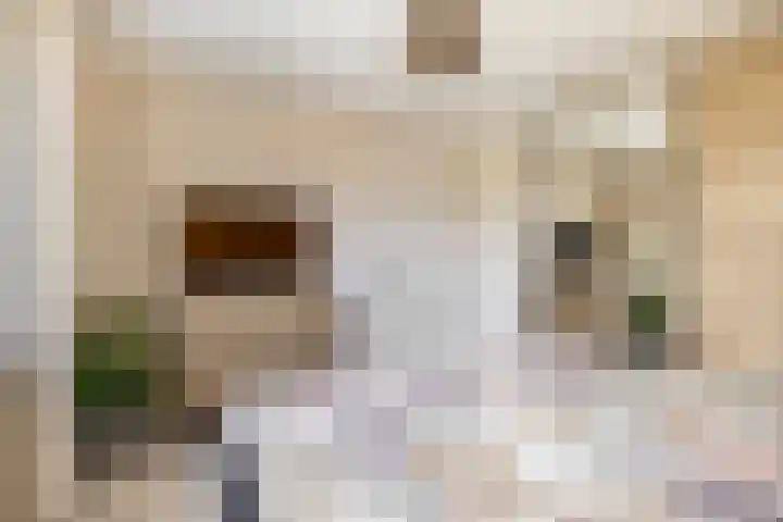 Johanna van Brabantlaan 2 Sint-Oedenrode thumbnail 16