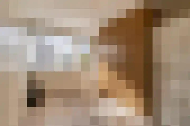 Johanna van Brabantlaan 2 Sint-Oedenrode thumbnail 17