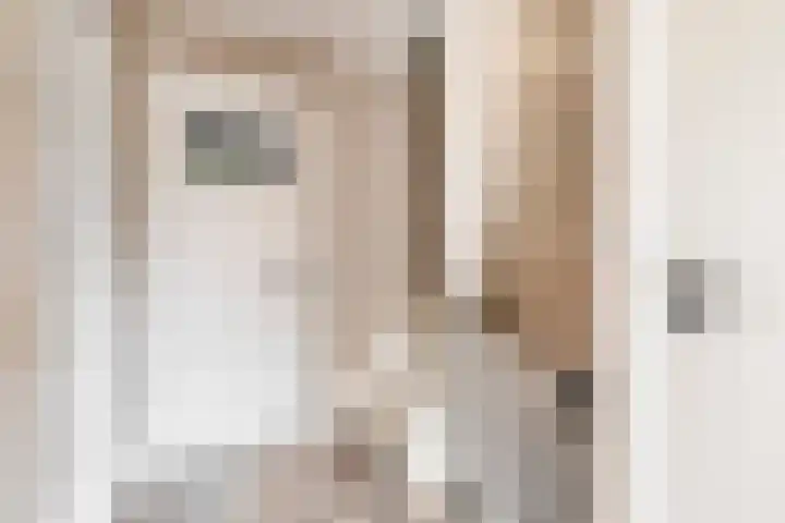 Johanna van Brabantlaan 2 Sint-Oedenrode thumbnail 22