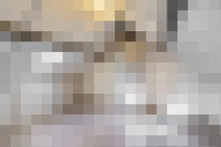 Johanna van Brabantlaan 2 Sint-Oedenrode thumbnail 25