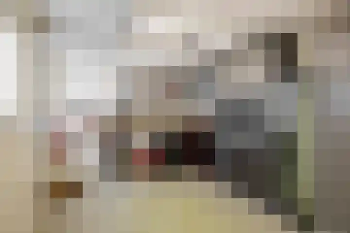 Johanna van Brabantlaan 2 Sint-Oedenrode thumbnail 35