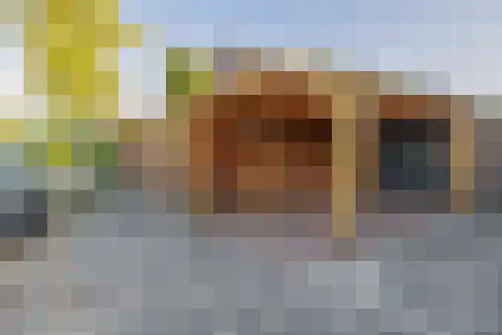 Johanna van Brabantlaan 2 Sint-Oedenrode thumbnail 36