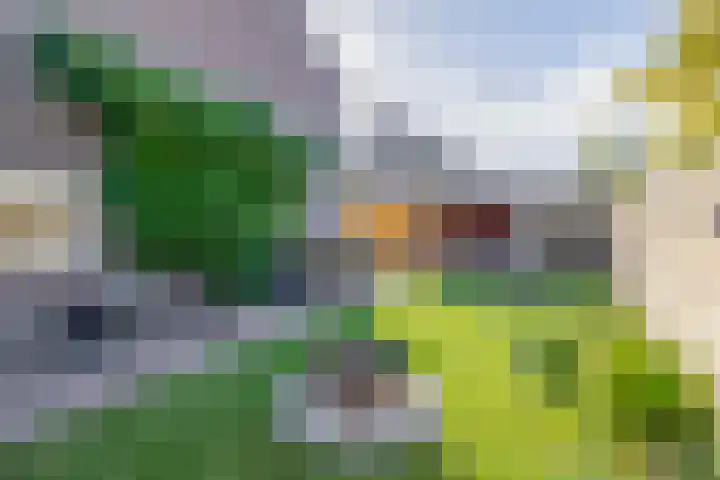 Johanna van Brabantlaan 2 Sint-Oedenrode thumbnail 4