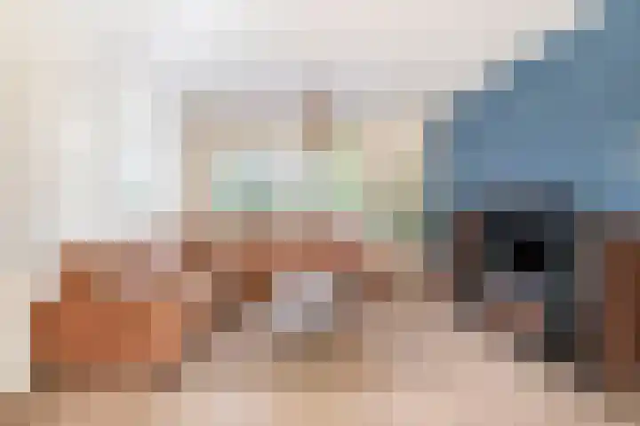 Johanna van Brabantlaan 2 Sint-Oedenrode thumbnail 6