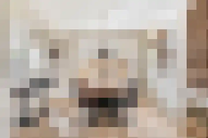 Johanna van Brabantlaan 2 Sint-Oedenrode thumbnail 8