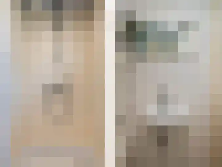 Johanna van Burenlaan 12 Almelo thumbnail 13