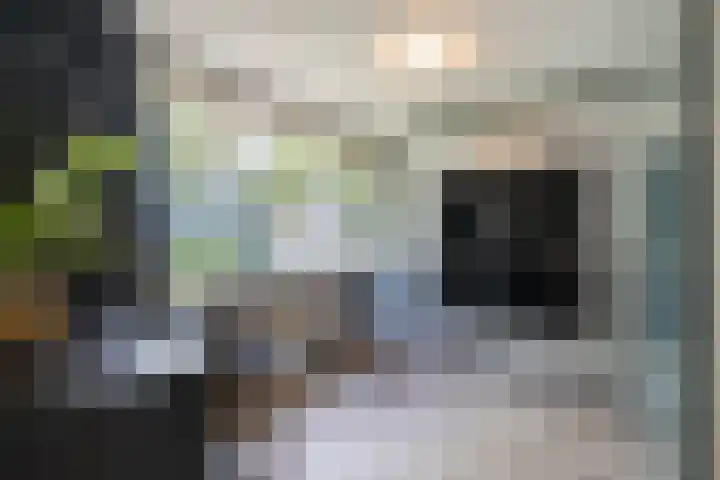 Johanna van Burenlaan 12 Almelo thumbnail 14