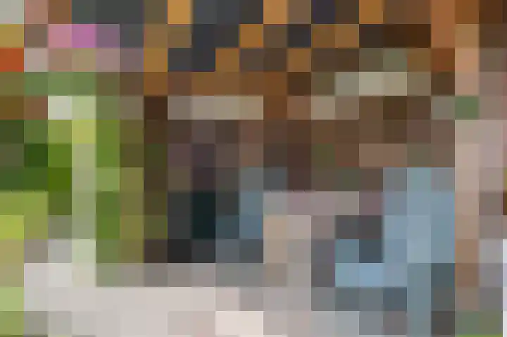 Johanna van Burenlaan 12 Almelo thumbnail 19