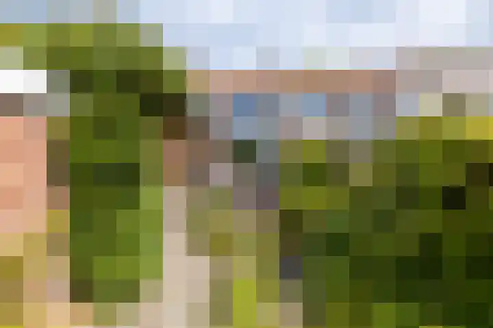 Johanna van Burenlaan 12 Almelo thumbnail 20