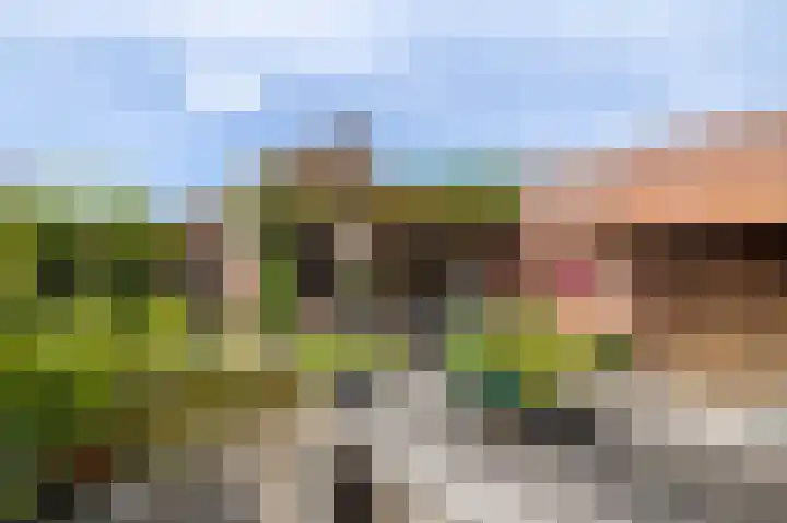 Johanna van Burenlaan 12 Almelo thumbnail 21